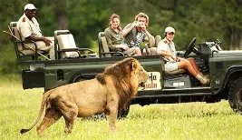 Ranthambore + Jaipur Wildlife & Heritage Package