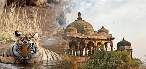 Pench National Park Wildlife Package