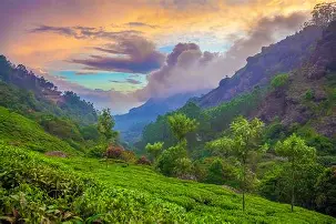 Munnar